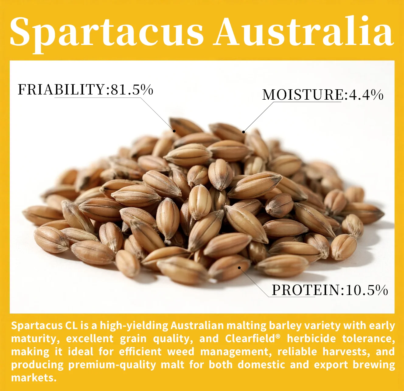 malt Image 6